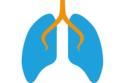 Lunge (stilisiert): Bei den meisten Mukoviszidose-Patienten ist die Lunge betroffen. Lunge (stilisiert): Bei den meisten Mukoviszidose-Patienten ist die Lunge betroffen.